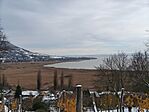 IMG_20251124_111645