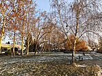 IMG_20251124_073116