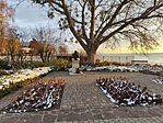 IMG_20251124_073250
