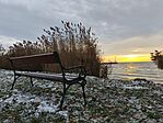 IMG_20251124_073919