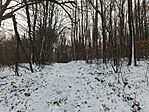 IMG_20251122_075859