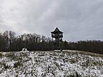 IMG_20251122_081208