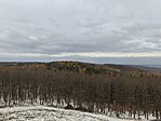 IMG_20251122_081330