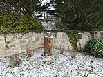 IMG_20251122_084427
