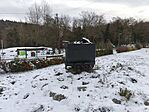 IMG_20251122_084637