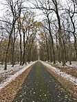 IMG_20251122_124758