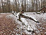 IMG_20251122_130207