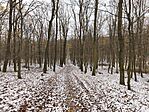IMG_20251122_143310