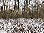 IMG_20251122_142057