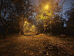 IMG_20251112_182822