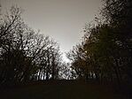 IMG_20251112_183146