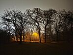 IMG_20251112_183546