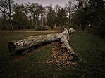 IMG_20251112_184042