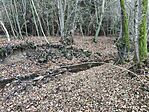 IMG_20251109_160335