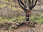 IMG_20251109_120725