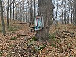 IMG_20251109_142819