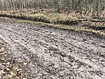 IMG_20251109_113223