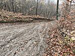 IMG_20251109_113601