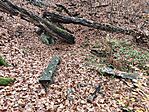 IMG_20251109_113931