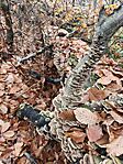IMG_20251109_114119
