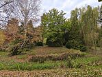 IMG_20251031_142347