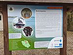 IMG_20251023_155045