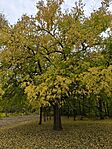 IMG_20251023_154004