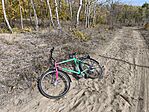 IMG_20251023_124819