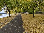 IMG_20251023_111739