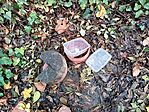 IMG_20251119_105755