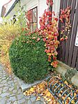 IMG_20251025_140700