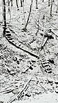 20251124_101153