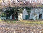IMG_20251107_151936