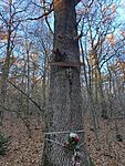 IMG_20251107_152533