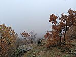 IMG_20251108_130331.jpg