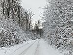 IMG_20251123_102214.jpg