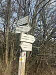 IMG_9261