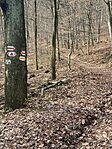 IMG_9273