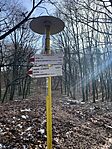 IMG_9277