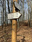 IMG_9290
