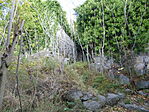 P1110452