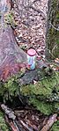 20251108_151536[1]