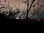 20251126_193631