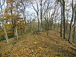 IMG_0901