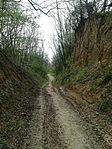 IMG_20210411_151507