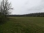 IMG_20210411_144917