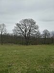 IMG_20210411_144912