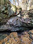 IMG_20251101_141405