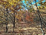 IMG_20251101_132209