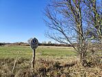 IMG_20251104_131733
